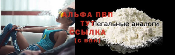2c-b Пересвет