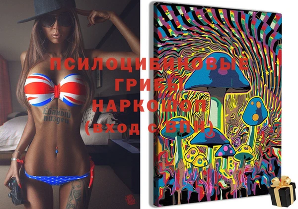 ПСИЛОЦИБИНОВЫЕ ГРИБЫ Переславль-Залесский