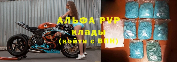 2c-b Пересвет