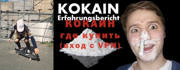 ПСИЛОЦИБИНОВЫЕ ГРИБЫ Абаза